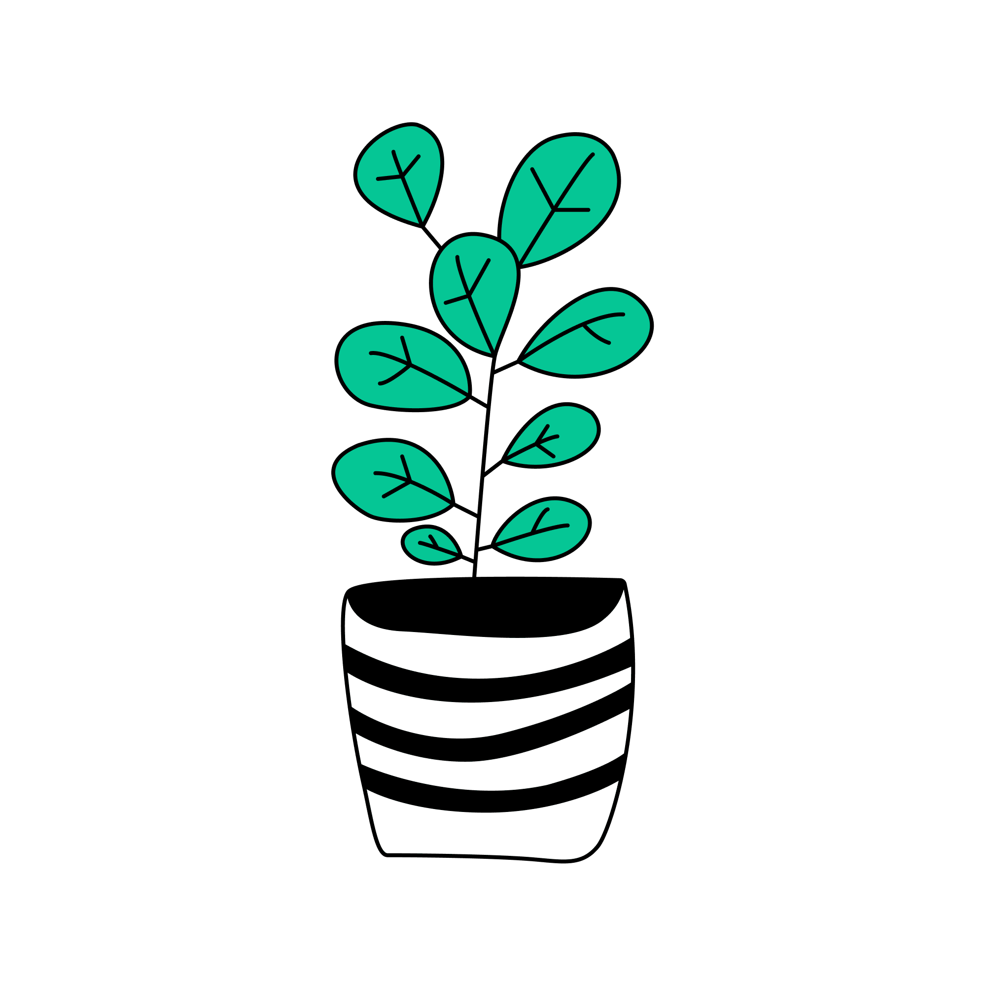 Striped Pot With Leaves_filled